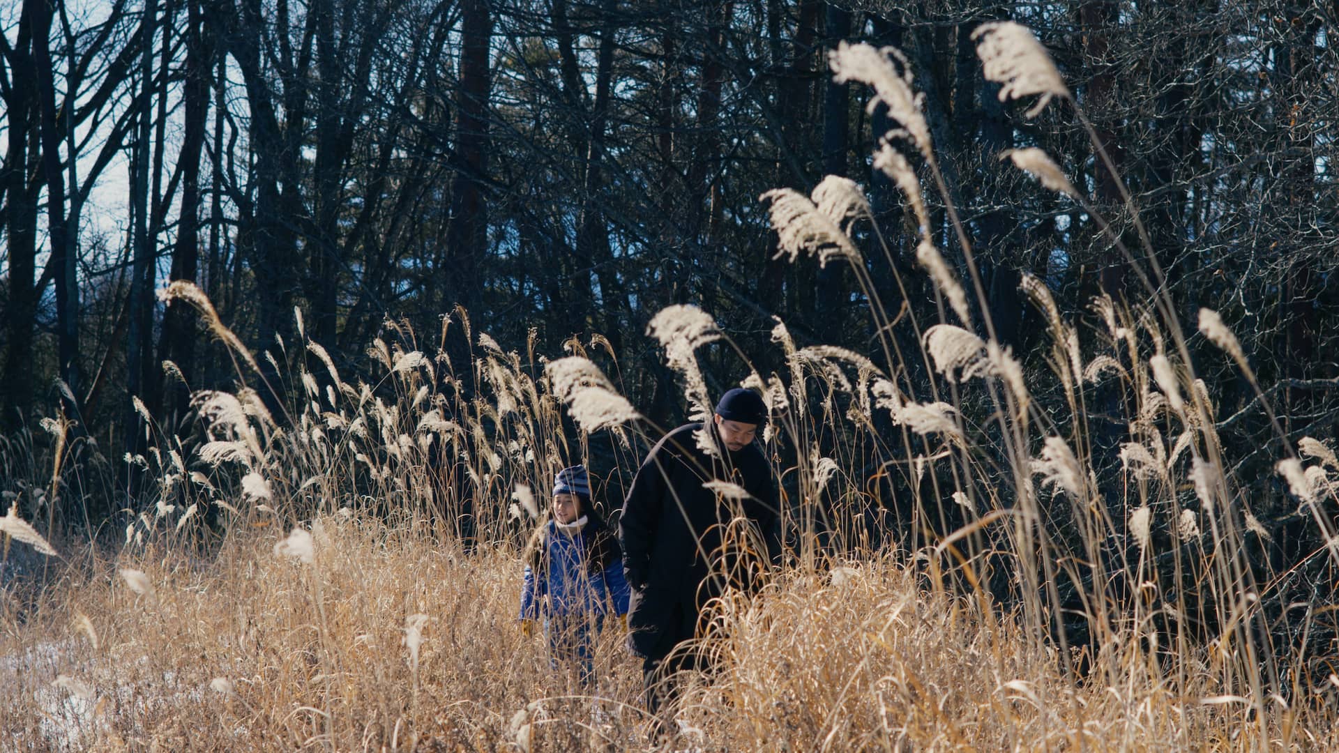 Рецензия на фильм «Зло не существует». Deaddinos - изображение 3
