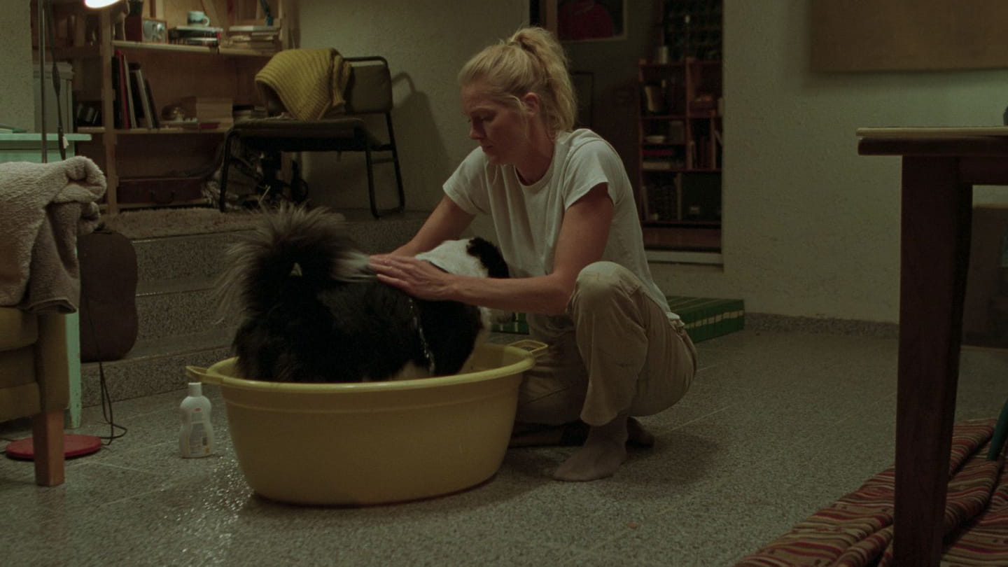 Review of the film “The Love That Remains.” Deaddinos - image 3