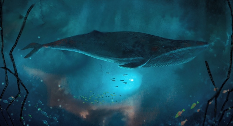 Рецензия на мультфильм «Песнь моря», Deaddinos - изображение 3