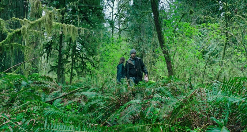 Рецензия на фильм «Не оставляй следов», Deaddinos - изображение 5